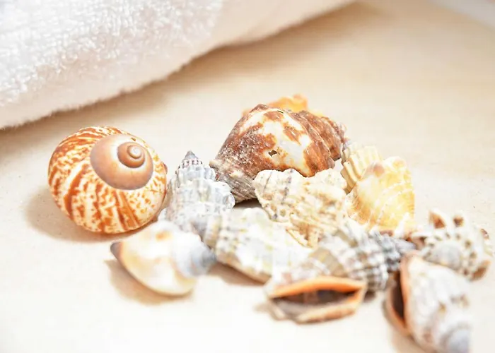 ヴィラ Rosa - Apt. 18