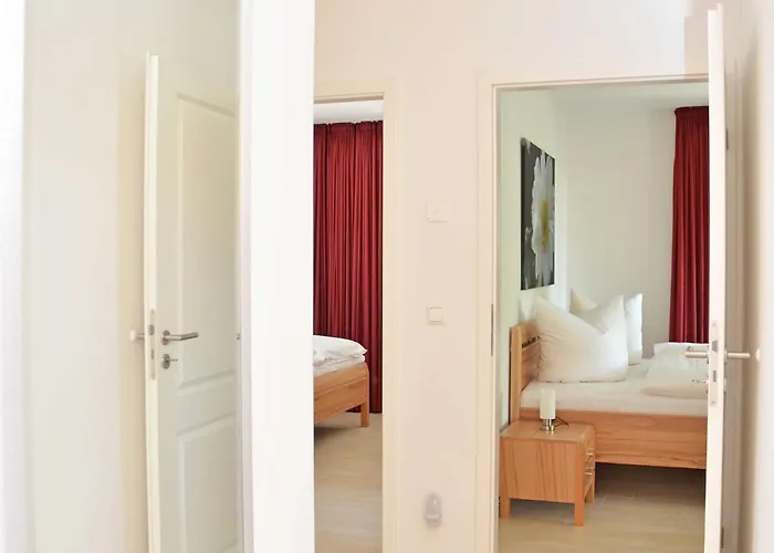 Rosa - Apt. 18 ゼリン