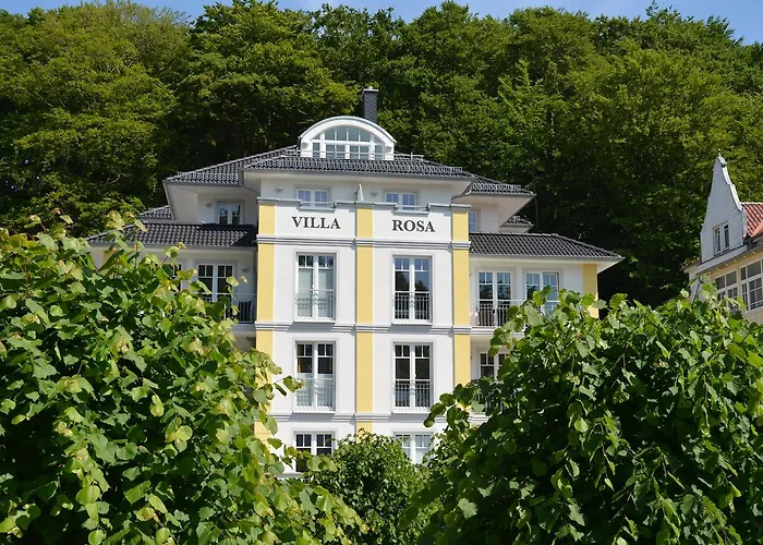 Rosa - Apt. 18 ゼリン